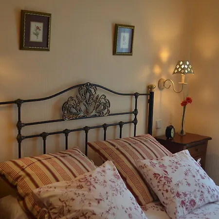 Turisticos Carrero *