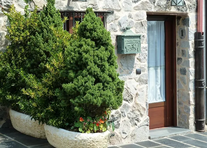 公寓 Turisticos Carrero Palacios de Sanabria